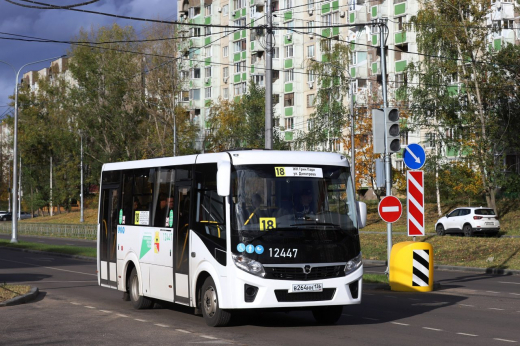 Дополнительный автобусный маршрут появится в воронежском Подгорном