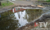 В Воронеже на Московском проспекте больше месяца протекает канализация