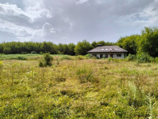 На территории памятника природы плод Воронежем обнаружили незаконно возведённый дом