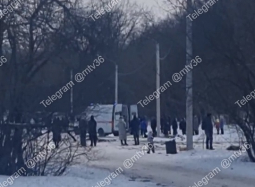 Девушка на «ватрушке» влетела в столб в Воронежском центральном парке