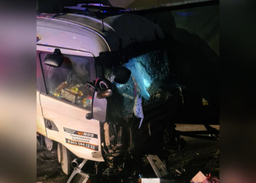 Под Воронежем грузовик протаранил ограждение: пострадал водитель