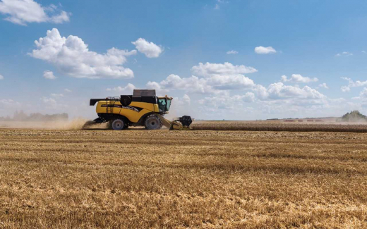 Агропредприятия ГК «Продимекс» в Воронежской области убрали более 50% посевов озимой пшеницы