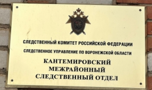 Местный житель предстал перед судом за причинение смерти по неосторожности
