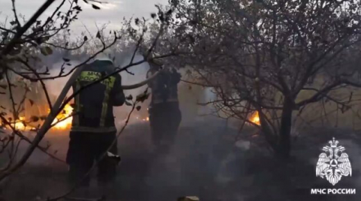 Площадь ландшафтного пожара в совхозе под Воронежем превысила 3 га