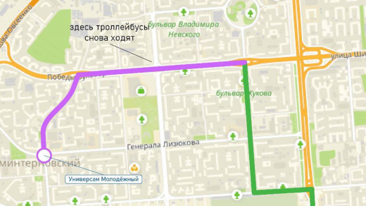 Воронежский троллейбус №99 вернётся на прежний маршрут