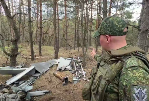 Беспилотники повредили несколько строений и ЛЭП в Воронежской области