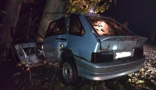 Воронежец на легковушке врезался в дерево и погиб