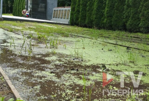 Воронежцы пожаловались на болото у мемориала в Центральном парке