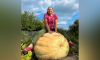 Жительница Воронежа вырастила гигантскую тыкву весом 260 кг