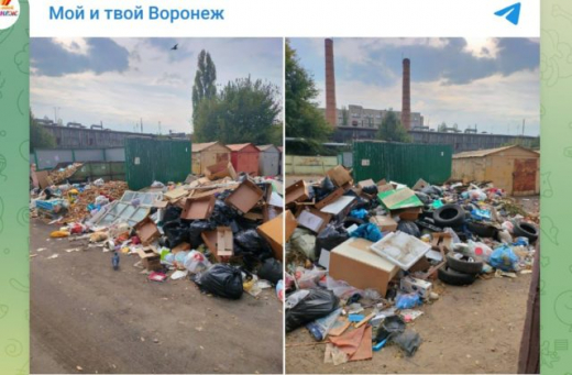 Воронежцы пожаловались на огромную свалку у своего двора