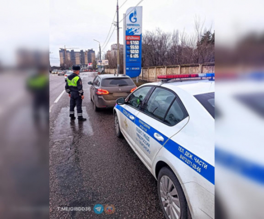 В Воронеже поймали водителя с 264 неоплаченными штрафами