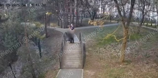 «Раскаялись и признали вину»: оргия в парке обошлась супругам в 2 тысячи рублей