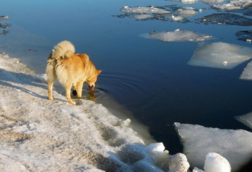 Когда Воронеж покинут морозы, рассказал синоптик