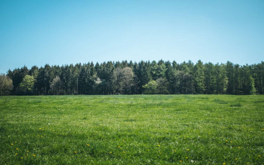 Земельные участки Липецкой ипотечной корпорации никому не приглянулись на торгах даже со скидкой в миллиард