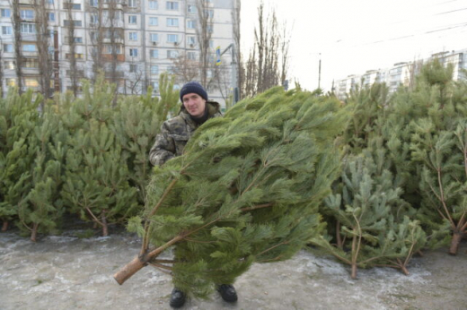 В Воронеже открылись ёлочные базары