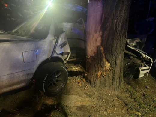 В Воронеже водитель иномарки погиб в ДТП, столкнувшись с деревом