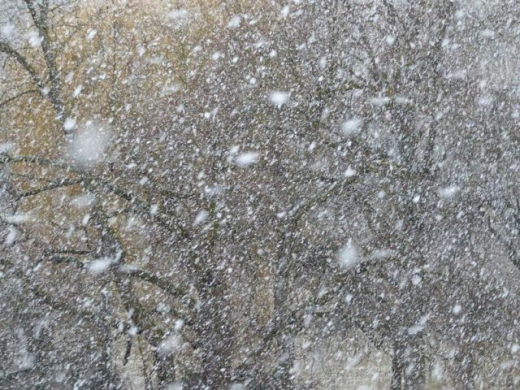 Синоптики рассказали, когда жителям Воронежской области ждать сильного снегопада